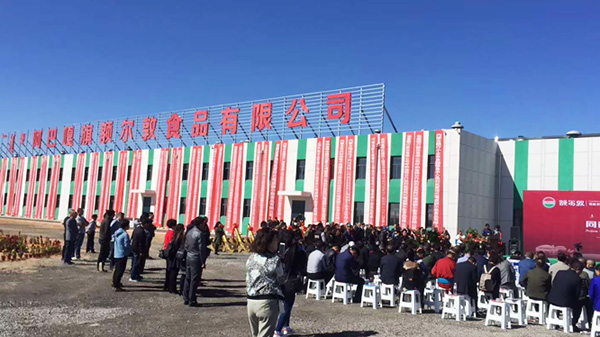 青島簡(jiǎn)化接下額爾敦公司班產(chǎn)100頭牛，3000只羊的屠宰流水線