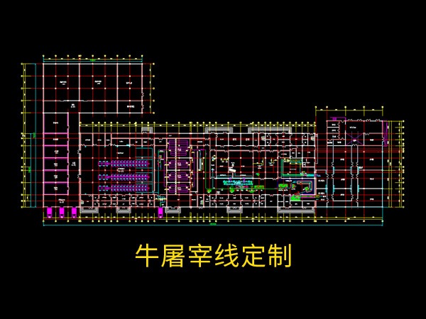 牛屠宰線定制