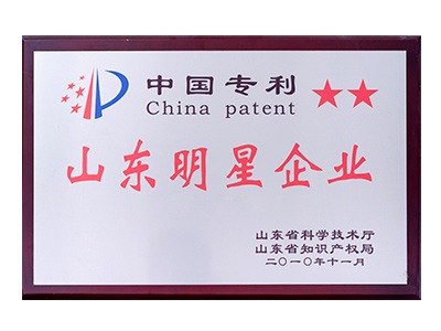 山東明星企業