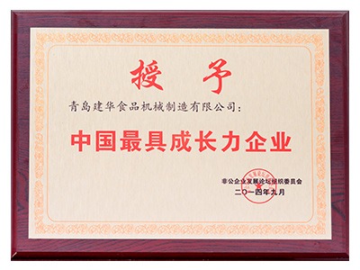中國最具成長力企業