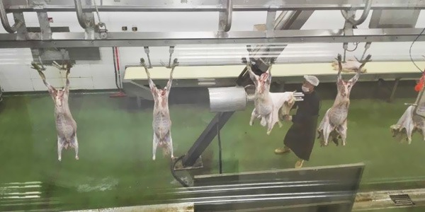 如何提高屠宰機械設備的使用效率？