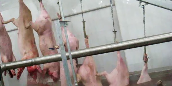 建華食品：屠宰機械的優勢日漸明顯