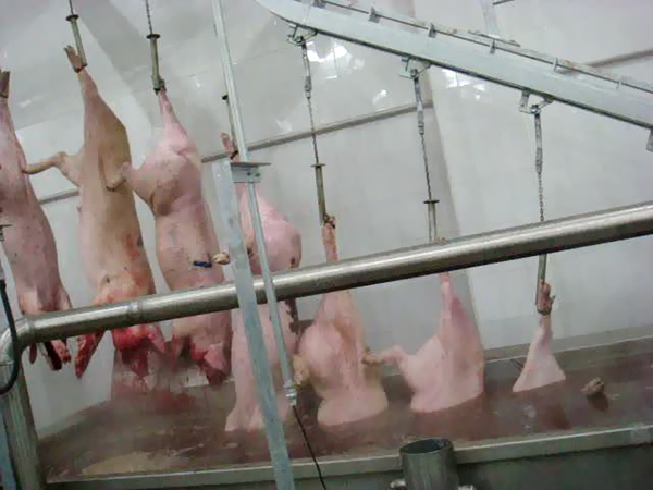 建華食品：屠宰機械的優勢日漸明顯