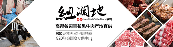 青島建華接下高青黑牛（紐瀾地黑牛）歐式年產(chǎn)7萬(wàn)頭牛生產(chǎn)線