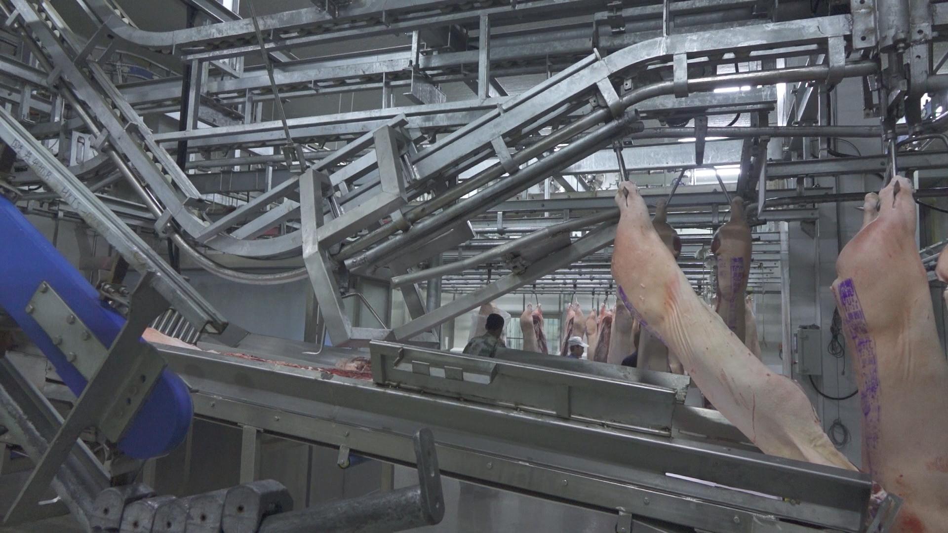 自動卸肉機入口2222