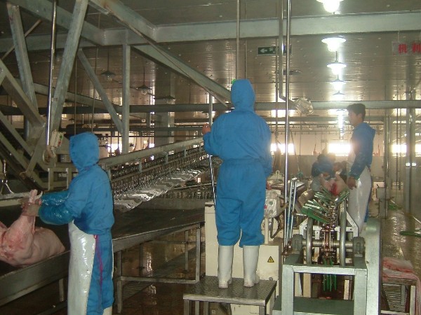 預剝輸送機