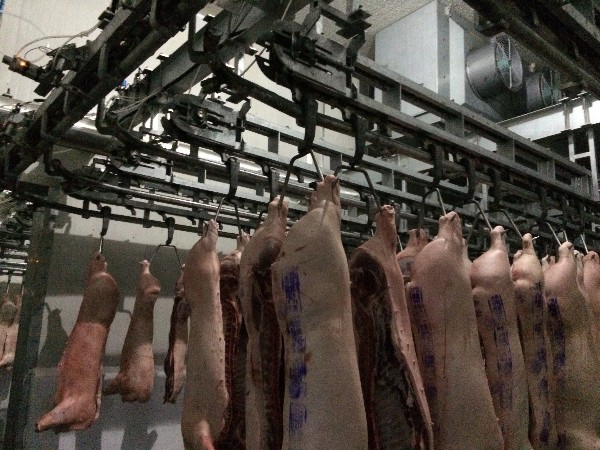 胴體進排酸間輸送機